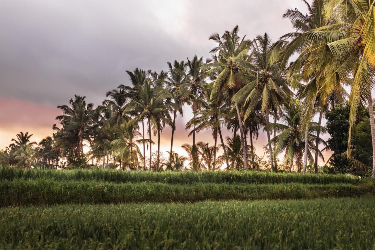 The Luxe Ubud Dış mekan fotoğraf